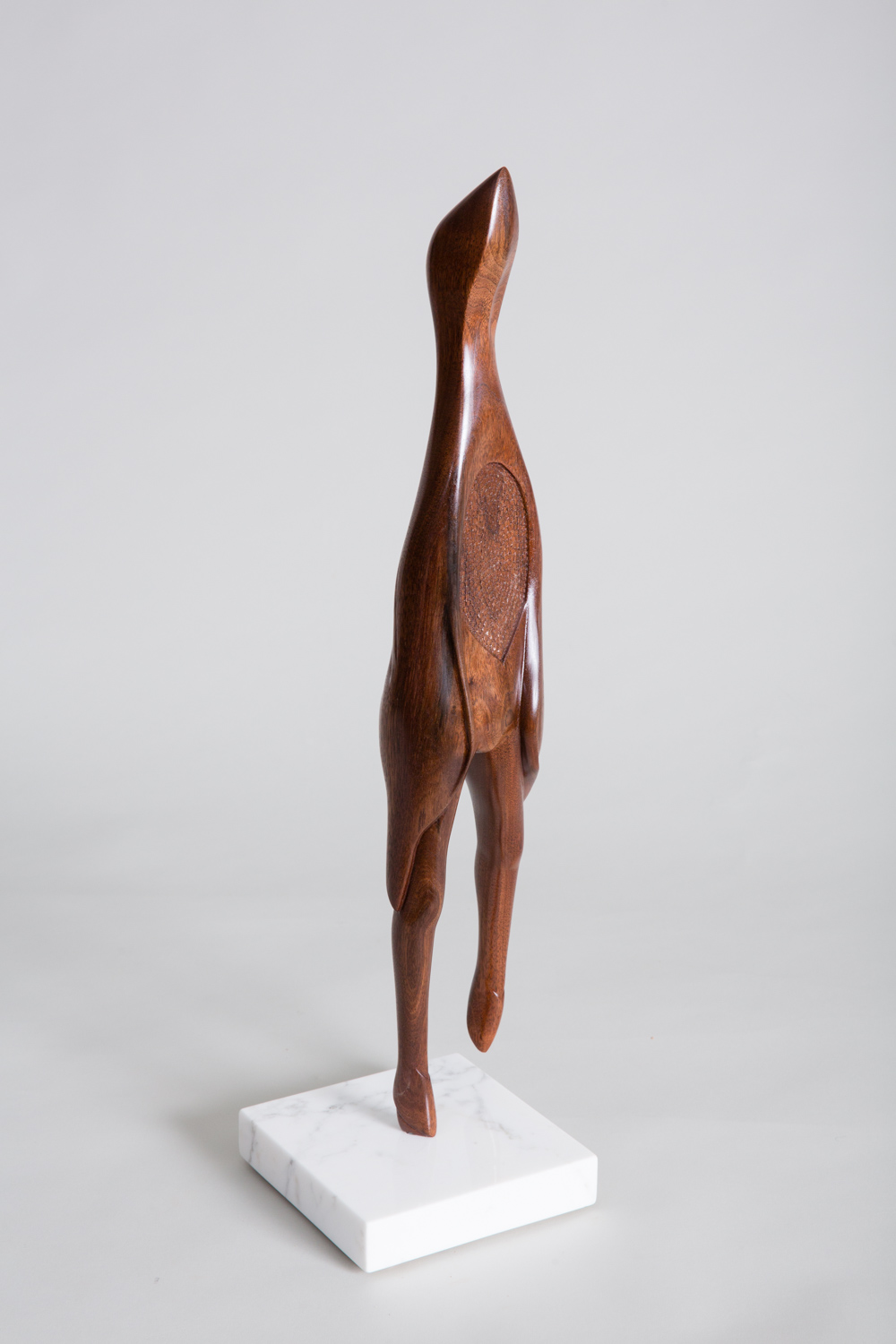 Avian, Image 1