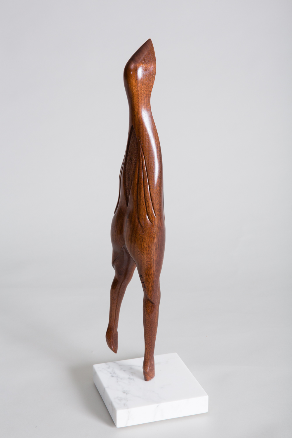 Avian, Image 2