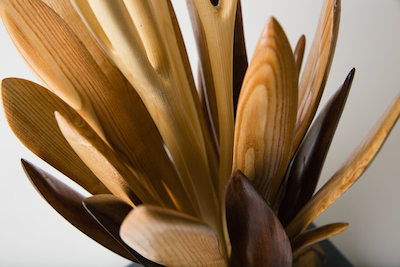 Flower, Image 2