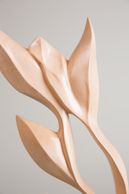 Thorns, Image 2