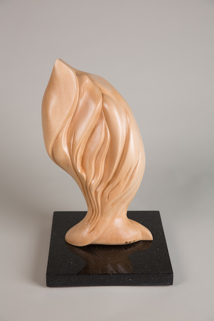 Wave, Image 1