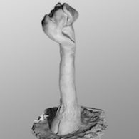 Cloven Hoof
